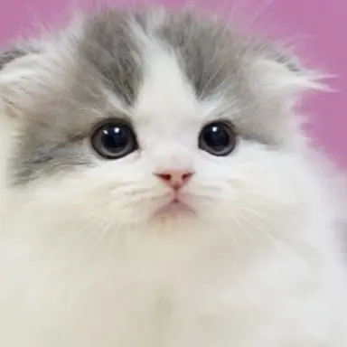 Profile image of 舞ちゃん