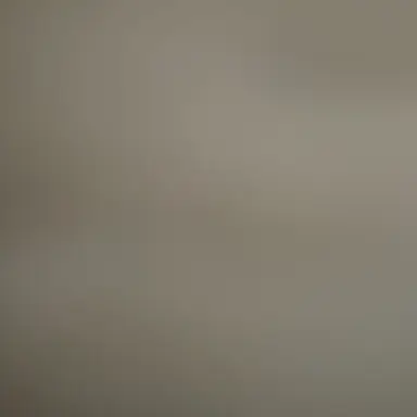 Profile image of 꽥