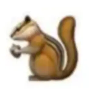 Profile image of 前川 流輝