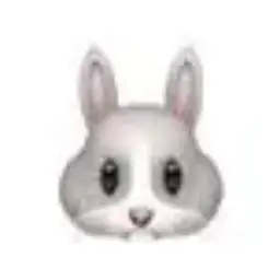 Profile image of 網代 聖人