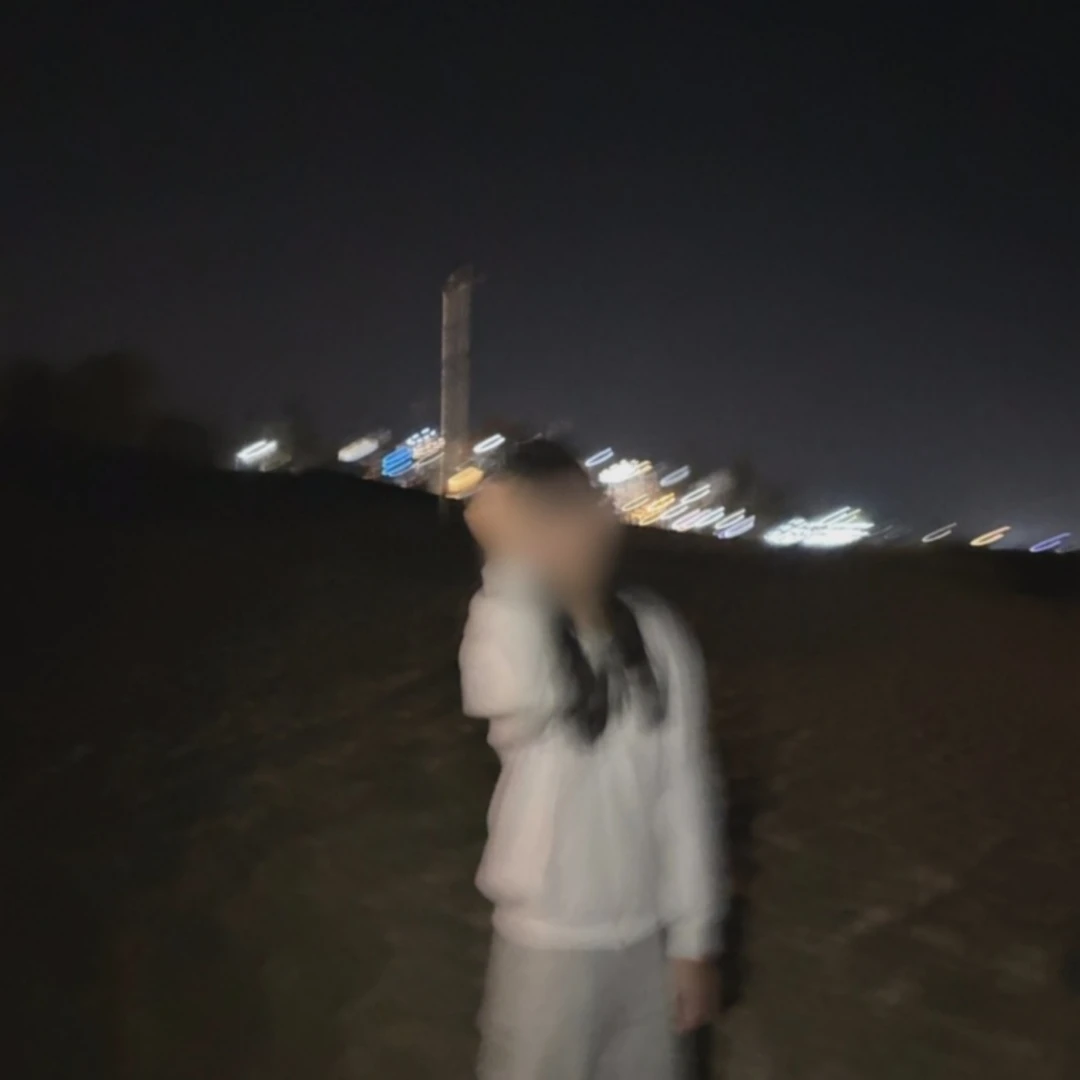이 수 아