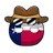 텍사스