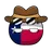 텍사스