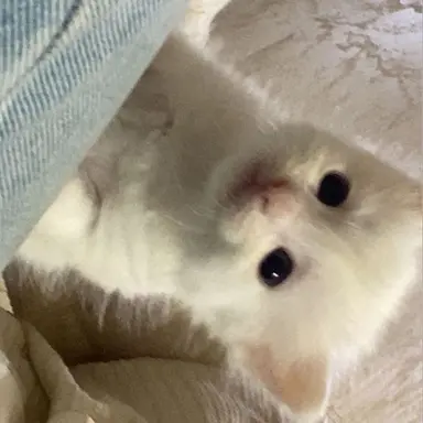 Profile image of 이재현 윤동희