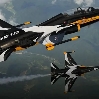 Profile image of T 50