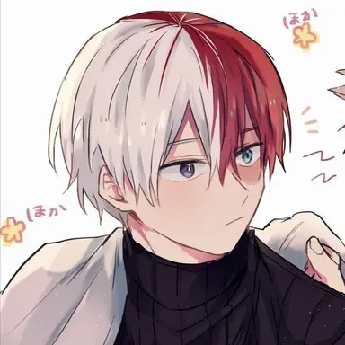 Profile image of Shoto Todoroki