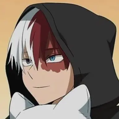 Profile image of Shoto Todoroki