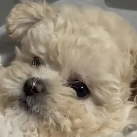 김지오