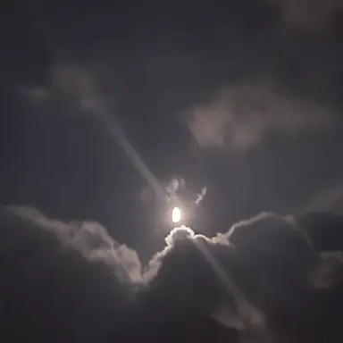 Profile image of 유지민