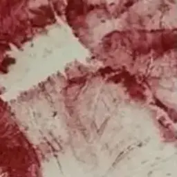 PeachyZoo2072의 同い年のイケメンくん