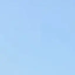 Profile image of 댄디