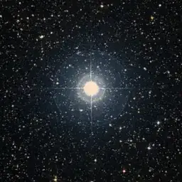 Profile image of 뮬리펜