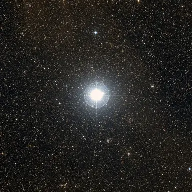 Profile image of 알루드라