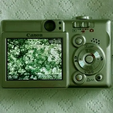 Profile image of 공룡