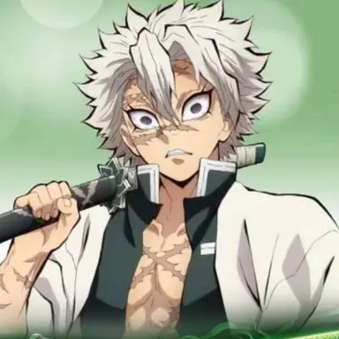 Profile image of 시나즈가와 사네미