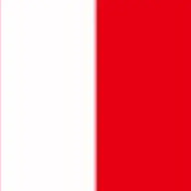 Profile image of 轟