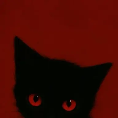 Profile image of キム・ソルム
