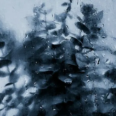 Profile image of 파이브