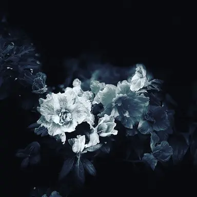 Profile image of 행크