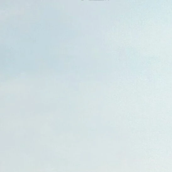 남은한