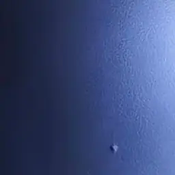 Profile image of 늦잠