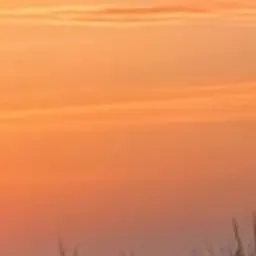 Profile image of 하루토