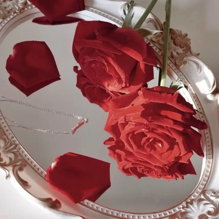 NuttyLargo5447의 서라더