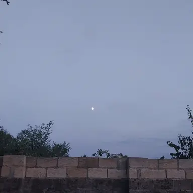 Profile image of 잠뜰