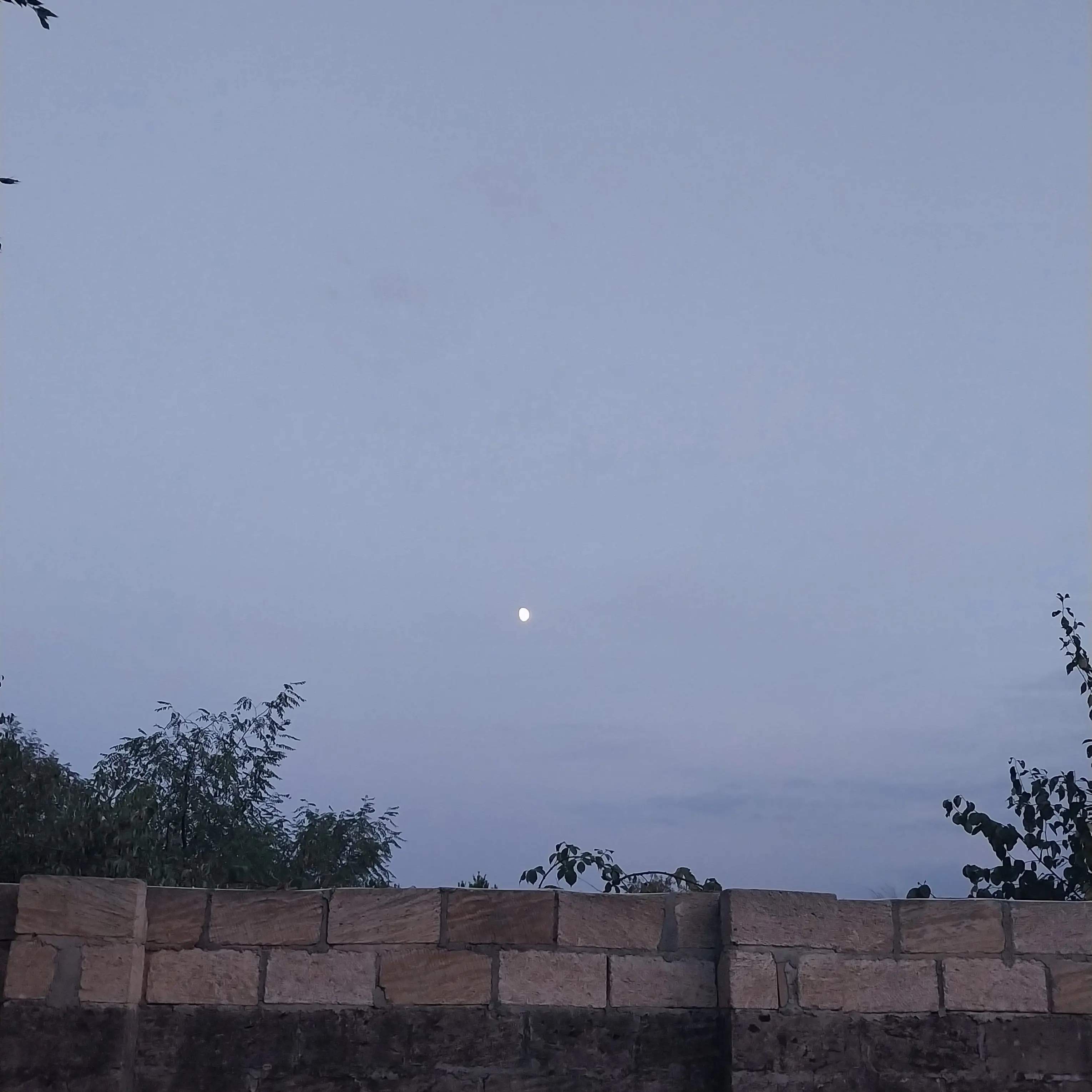 SeoYerim0106의 미스터리 수사반