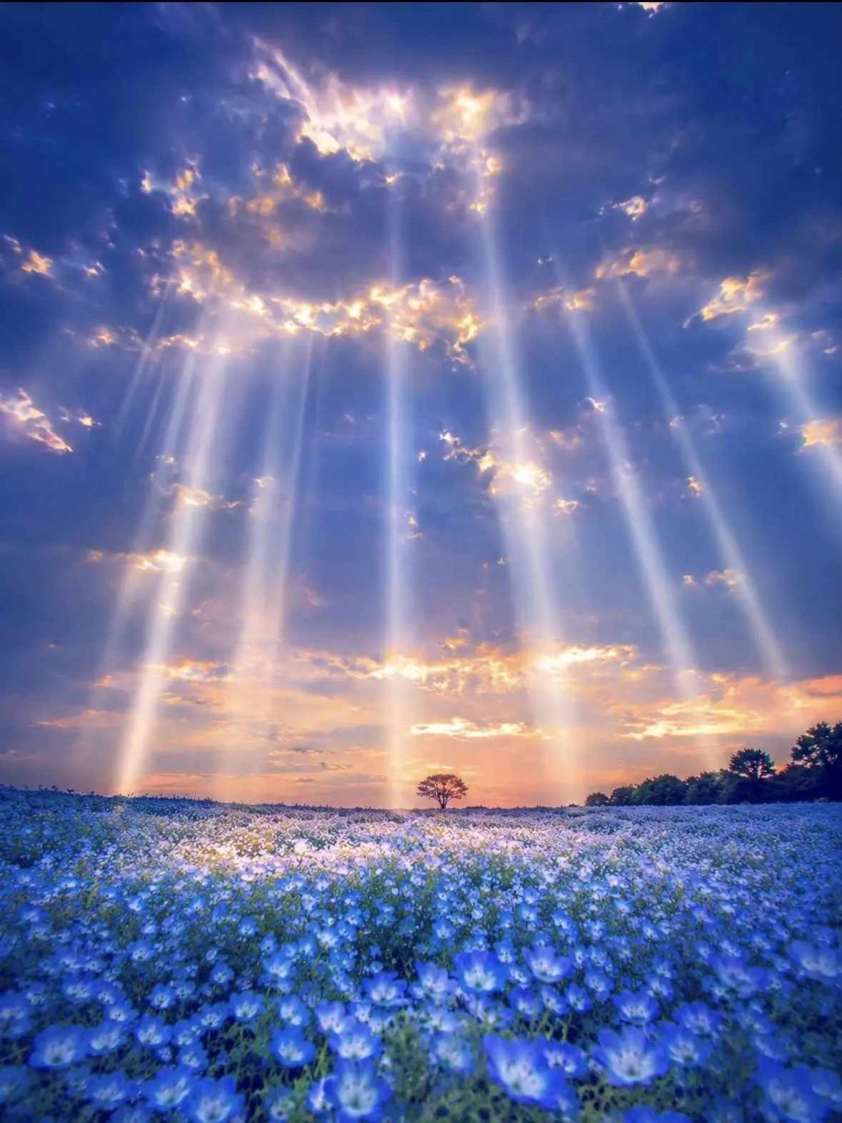 potadesunsun.의 鼓動と衝動