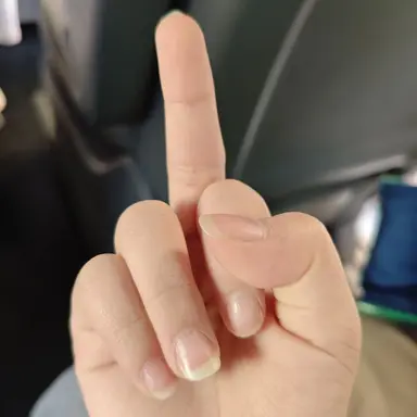 Profile image of 늑대