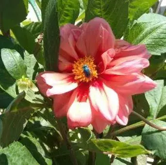 Profile image of Ethan