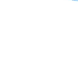 엘리엇