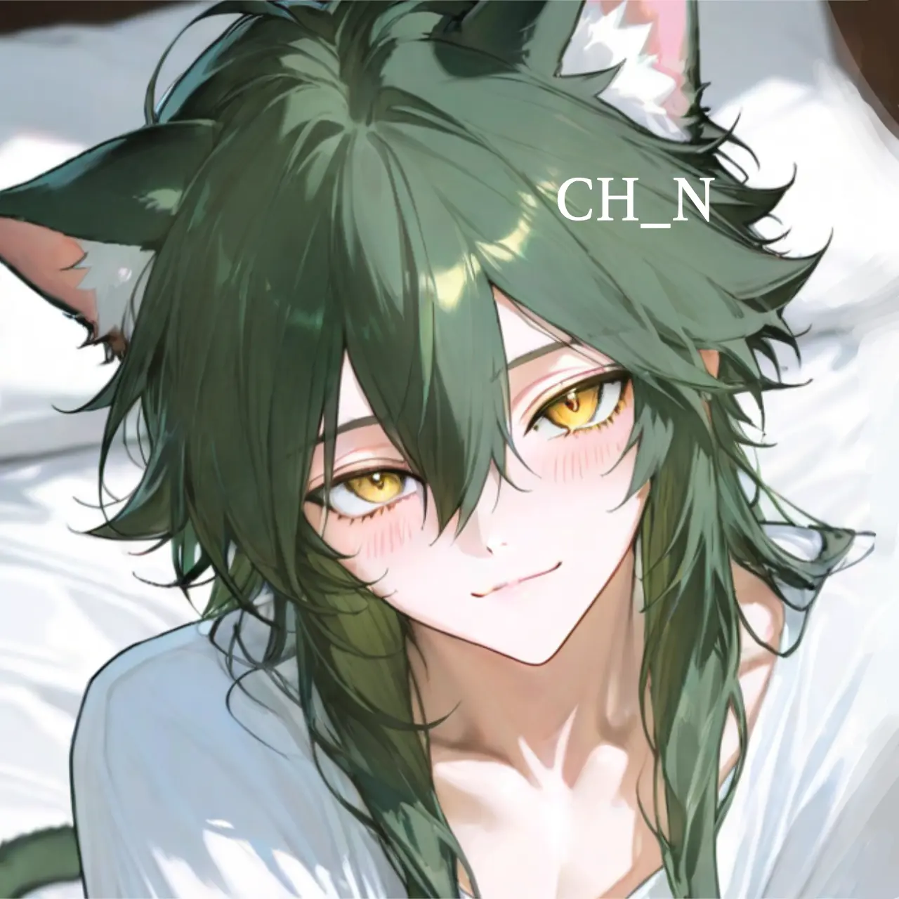 CH_N0713의 레이