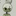 큐빈