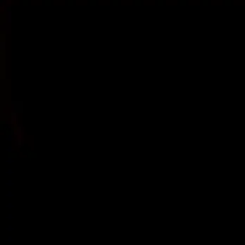 FrayedLens6654의 使用禁止