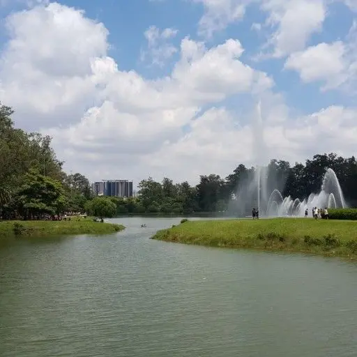 RoughNail8147의 모험가]][[이세계아이돌