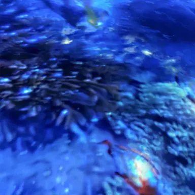 Profile image of 각별