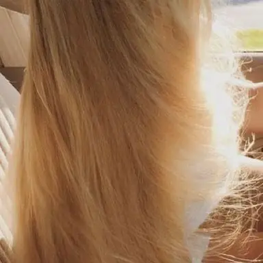 Profile image of Lucia Merchant