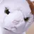 ミケ