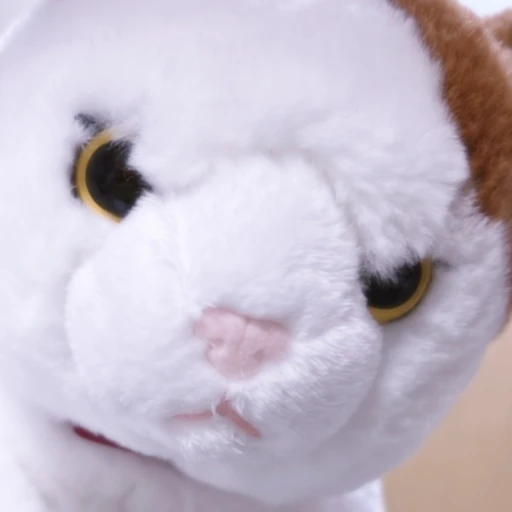 ミケ