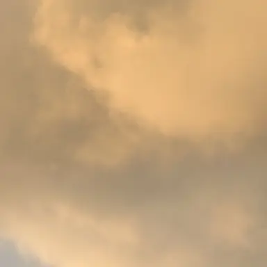 Profile image of 대박이