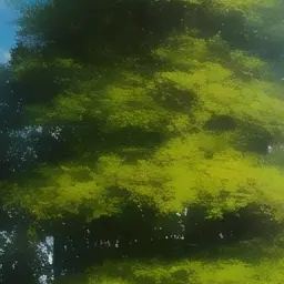 Profile image of 大森元貴