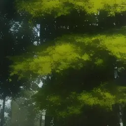 Profile image of 藤澤涼架