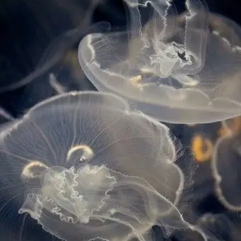 BreezyPast7801의 가정사.