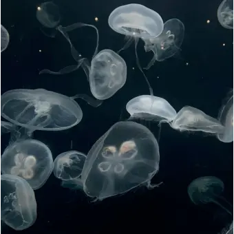 Profile image of 김세요