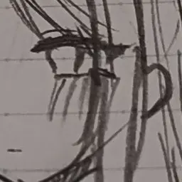 Profile image of スミレ