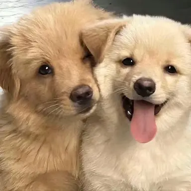 Profile image of 김승민