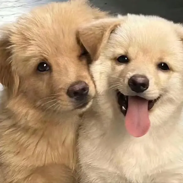 PoshInk5813의 김승민