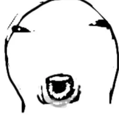 Profile image of Emily